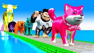 Paint & Animals Cow, Monkey, Dog, Bear, Hippo  Fountain Crossing Transformation Animal Cartoon 2024