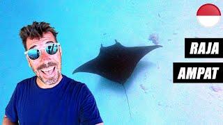 NAGER AVEC LES RAIES MANTA !  (RAJA AMPAT) | INDONÉSIE | #42