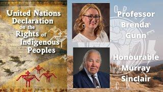 Understanding UNDRIP & Bill C-15: Warrior Life Podcast
