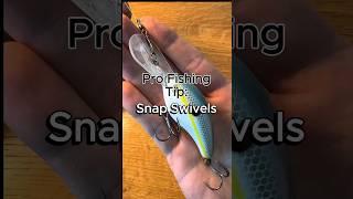 Snap Swivel Fishing Hack #fishing #bassfishing #howto #largemouthbass #largemouthbassfishing