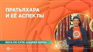 СУТЬ ЙОГИ. Пратьяхара и её аспекты. Андрей Верба