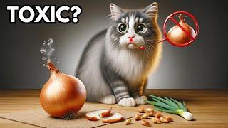 Is onion toxic to cats? Health risks of onions for cats