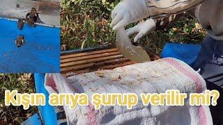 Kışın arıya şurup verilir mi? Uygulamalı olarak cevap vermek istedik