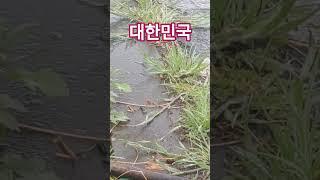 22.5.7 ㅡ7 대한민국을 향하신사명. #하나님사랑 #본향소망 #예수님메세지