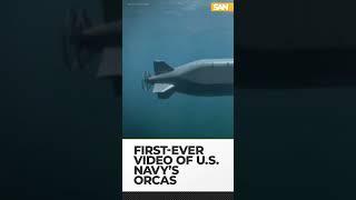 #USA #Navy has #pod of mine-laying #Orcas