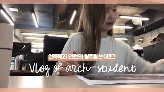 [vlog] 건축학과 인턴의 일주일 브이로그 