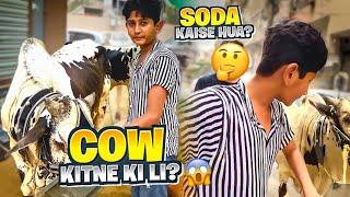 COW KITNE KI KHAREEDI HUMNE?| ￼SODA KAISE HUA?| Mandi Vlog 2022 | Vampire YT