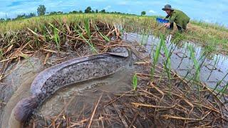 Top full video! Catch many fish under the hands of a smart top fisherman