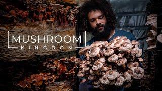 Cultivating Gourmet and Medicinal Mushrooms | PARAGRAPHIC