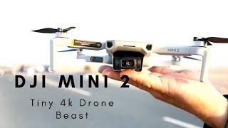 Dji Mini 2 || Tiny 4k Drone Beast