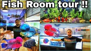 Fish Room Tour!! Monster fish tank|fiah price in bd|aquarium fish price in Bangladesh|fiah price||