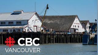 Richmond fishermen demand more action to save Steveston Harbour