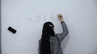 GLOBALink | Interest in learning Chinese language grows in Türkiye