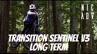 2025 Transition Sentinel Longterm Review (Is the sweet spot mullet?)