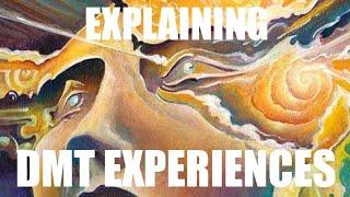 Explaining the DMT experience - Living Mirrors #4 clip