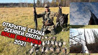 Открытие сезона охоты на уток после пожаров / ОСЕНЬ 2021