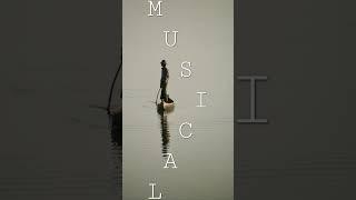 Chasing The Light - Olivaw [No Copyright Music]