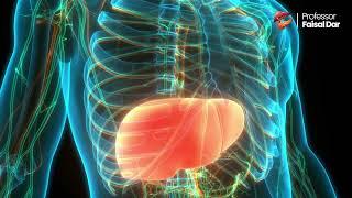 Liver Cancer Treatment through Liver Transplant | Prof. Faisal Dar