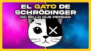 El gato de Schrödinger NO ES lo que pensás • #Datazo