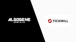 ALGOGENE Tutorial: Connect Trading Account with Tickmill