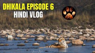 Dhikala mein Night Stay ke Aakhiri Din Baagh ki Khoj | Discover Wild Paws Jim Corbett Series Hindi