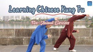 Learning Chinese Kung Fu | Five-Animal Exercises