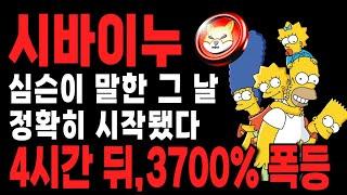 시바이누 폭등!!!! 심슨이 예언한 바로 그 날짜였습니다.. 소름끼치는 시바이누 11월 12월 시나리오 정확히 "여기"까지 #심슨가족  #비트코인 #코인시황 #시바이누코인