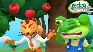 An Apple A Day! | Gecko's Garage | Cars & Truck Videos for Kids