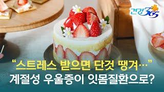 디지털 임플란트 바로 알기 | 스트레스 받으면 단것 땡기는 분들! 정기적 치아 관리는 필수입니다!