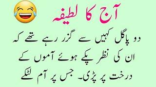 Do Pagal | Aj Ka Lateefa | Funny Urdu Jokes | Lateefay | Hindi Jokes  | Latifa | Jokes | Lateefa Hub