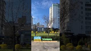 Троєщина, зупинка вул. Архітектора Ніколаєва, Київ, 04.04.2024