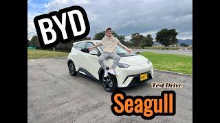 BYD Seagull - El carro que vino a romper el mercado - TEST DRIVE 