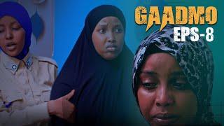 "Lacag intaas la'eg waligeen ma arkin" || Gaadmo || Xalaqada 8aad