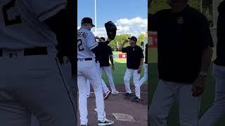 Stealing Bases at a Bees Game