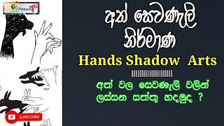 අත් වලින් සෙවණැලි නිර්මාණ කරමුද / Hands shadow arts /  /primary අපි