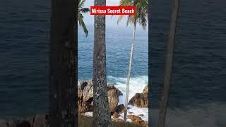Mirissa Secret Beach #travel #beach #mirissa #srilanka #DJBackpacker #shorts #shortvideo