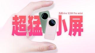 「花生」浅谈vivo X200 Pro mini：物理学不存在了？