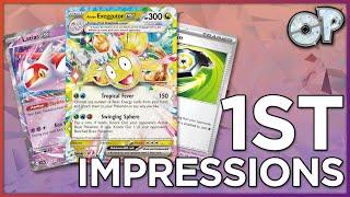 The WEAKEST Japanese set so far? Paradise Dragona First Impressions!