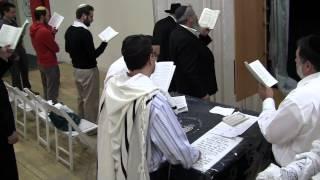 "Hearken to the cry and the prayer" Slichos at Happy Minyan (138)