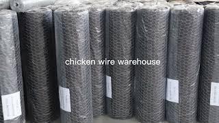 galvanized chicken wire  mesh