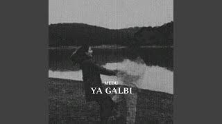 YA GALBI