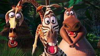 ALL the BEST Scenes from Madagascar  4K