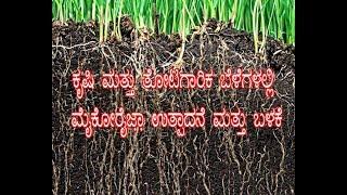 "Use Of mycorrhiza in Agriculture crops" - ಕೃಷಿ ಬೆಳೆಗಳಲ್ಲಿ ಮೈಕೋರೈಜಾ ಉತ್ಪಾದನೆ ಮತ್ತು ಬಳಕೆ