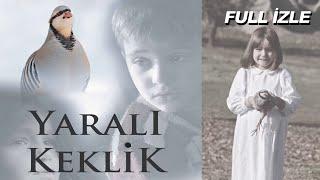 Yaralı Keklik | 2017 - Alper Pehlivan, İbrahim Kalkan, Dilek Canbay