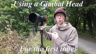 KentFaith K&F Concept Gimbal Head review - first time using a gimbal!