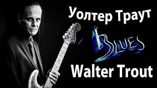 Уолтер Траут (Walter Trout) - Страсть и ярость блюзрокера