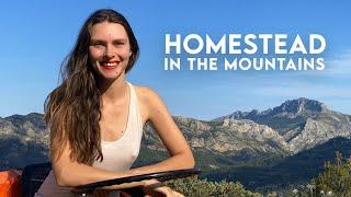 BUILDING our dream OFF-GRID home + BIG NEWS!