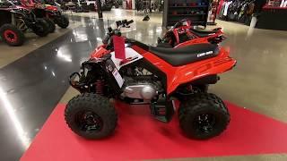 2020 Can-Am DS 250 - New ATV For Sale - Elyria, Ohio