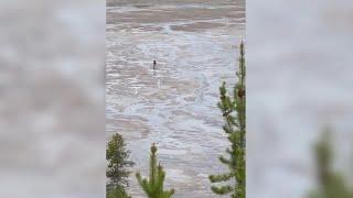 Man gets jail time for walking off Grand Prismatic boardwalk in Yellowstone