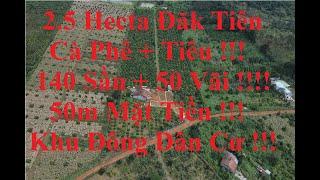 2, 5ha  ĐĂK TIÊN  BUK SO TUY ĐỨC ĐĂK NÔNG GIÁ 2,7 TỈ ...0936246709